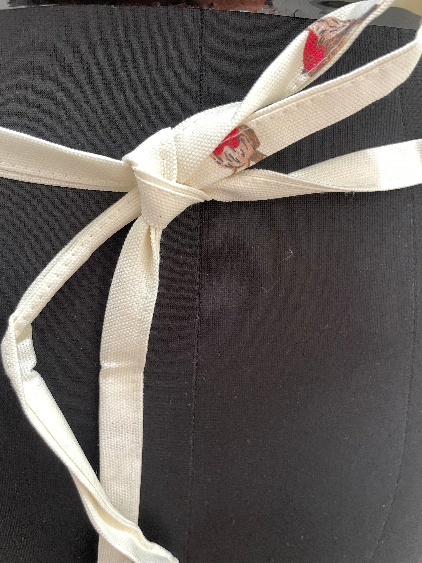 Wax Coated Waterproof Apron
