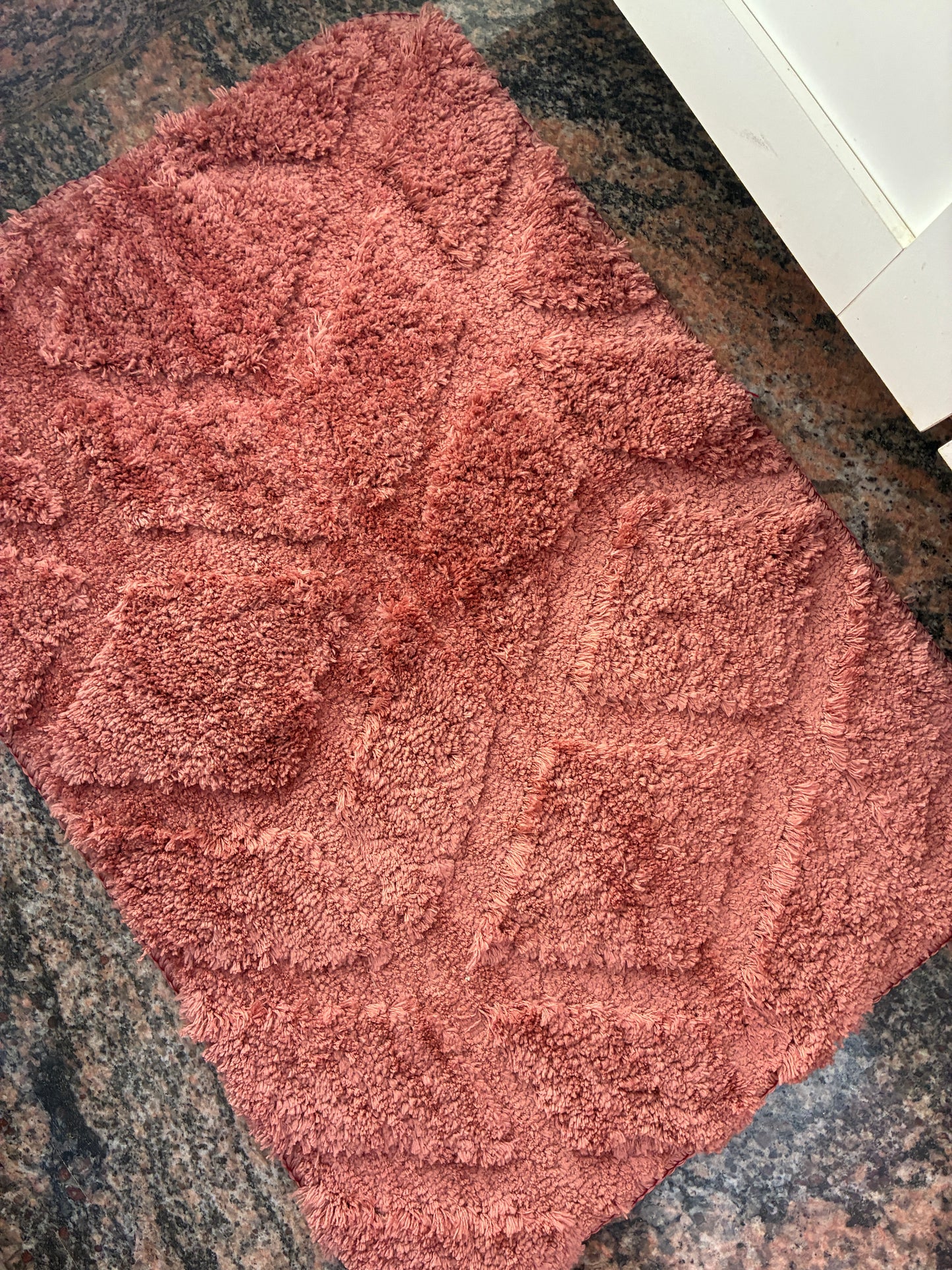 Anti Skid Floor Mat (62x44cm)