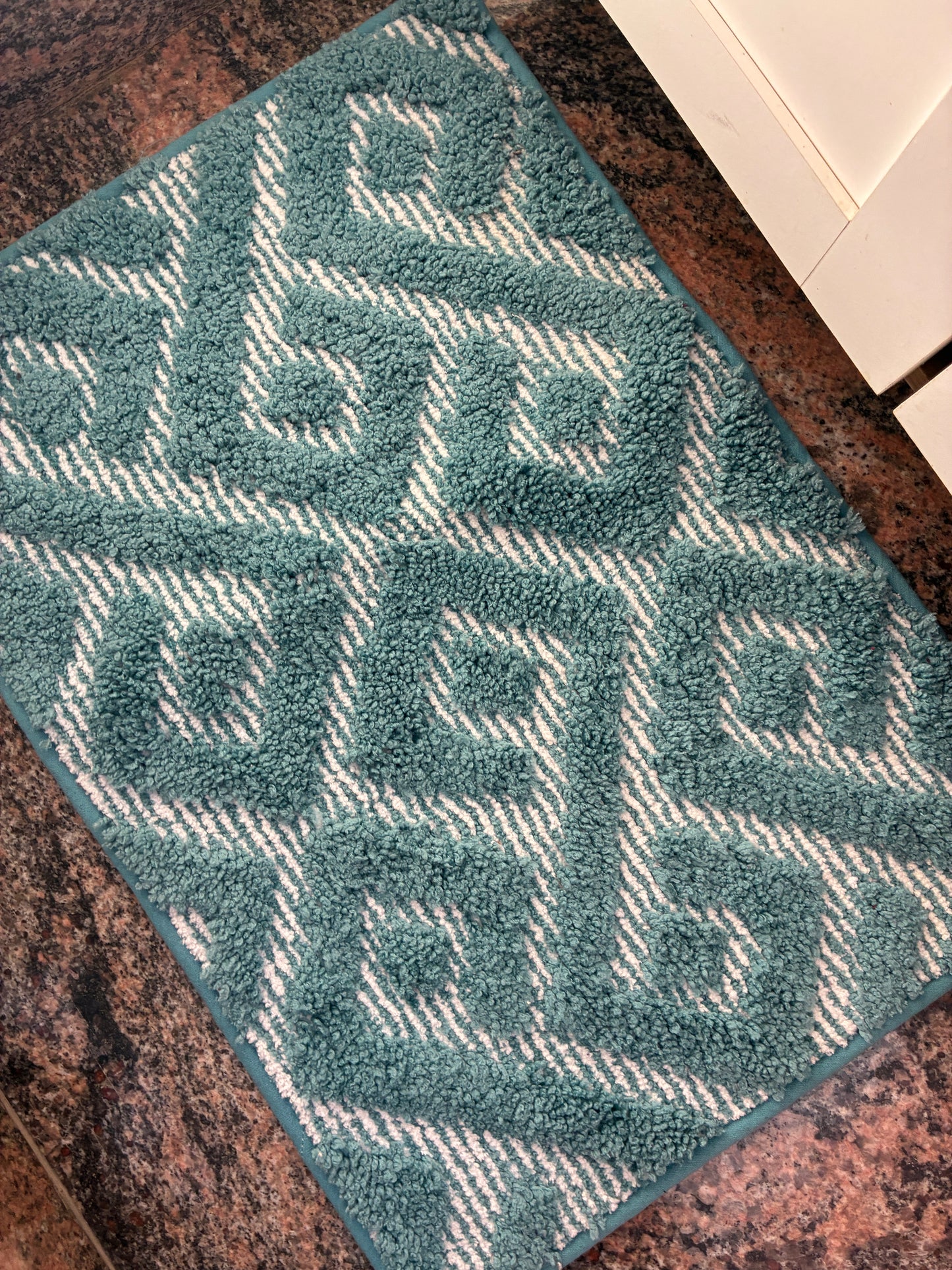 Anti Skid Floor Mat (62x44cm)