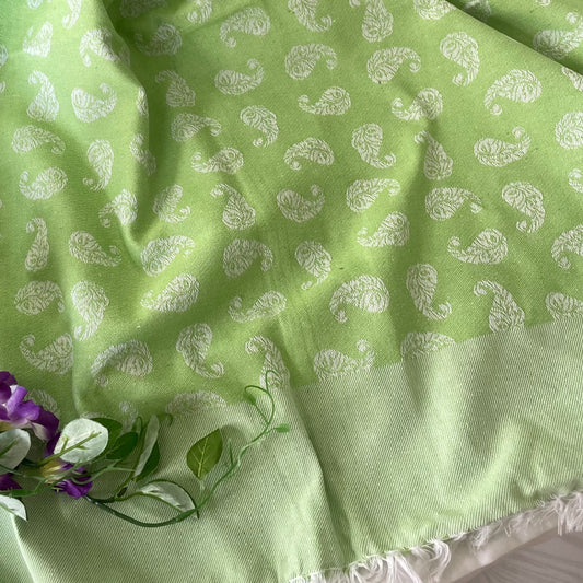 Pastel Green Blanket / Throw